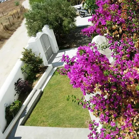 Villa Homey *