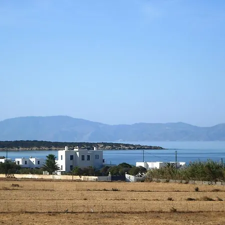 Homey